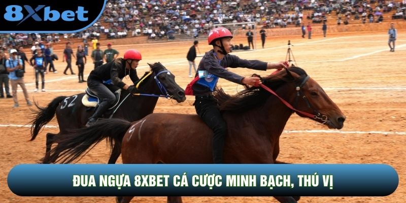 Đua ngựa 8XBET cá cược minh bạch, thú vị