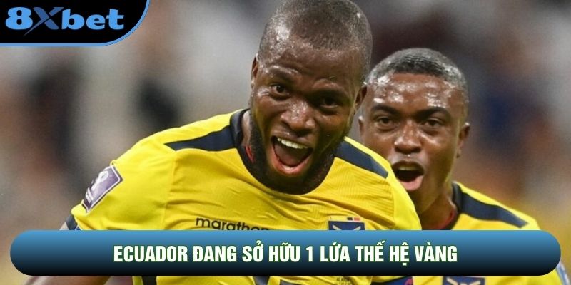 Ecuador đang sở hữu 1 lứa thế hệ vàng