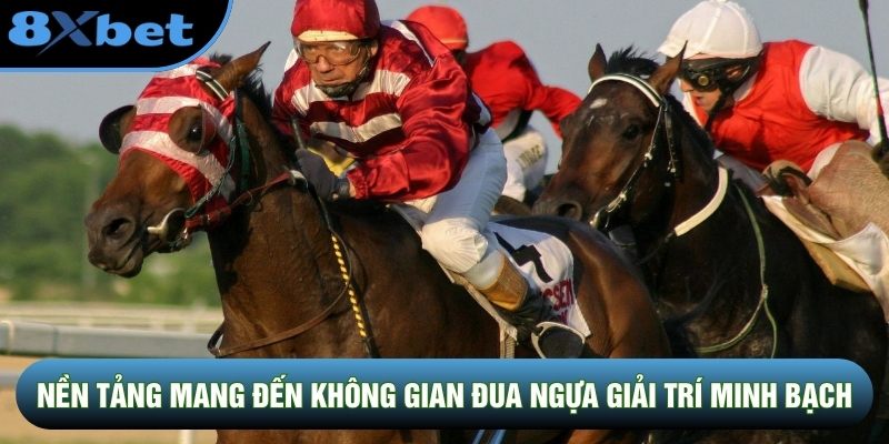 Nền tảng mang đến không gian đua ngựa giải trí minh bạch