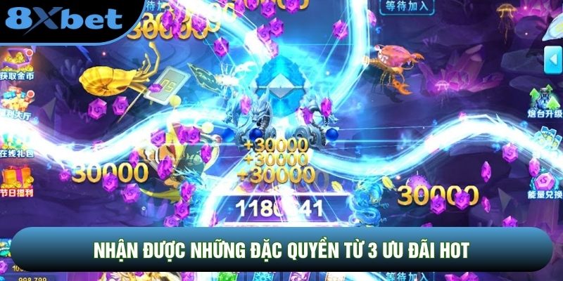 Nhận được những đặc quyền từ 3 ưu đãi hot