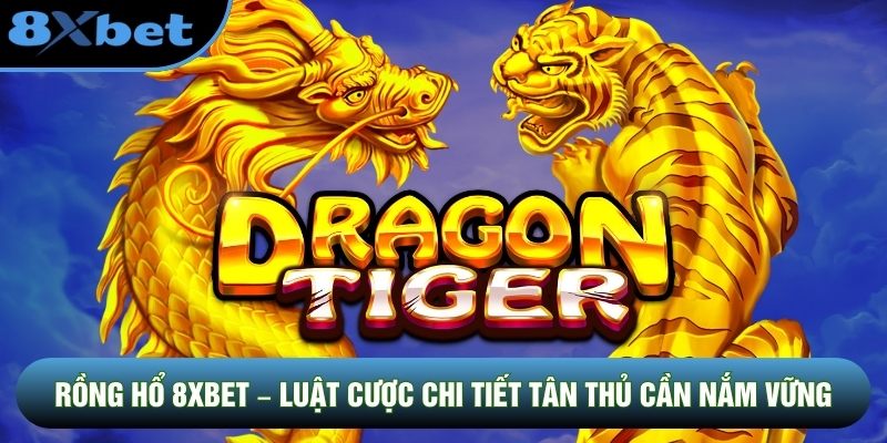Rồng Hổ 8XBET – Luật Cược Chi Tiết Tân Thủ Cần Nắm Vững